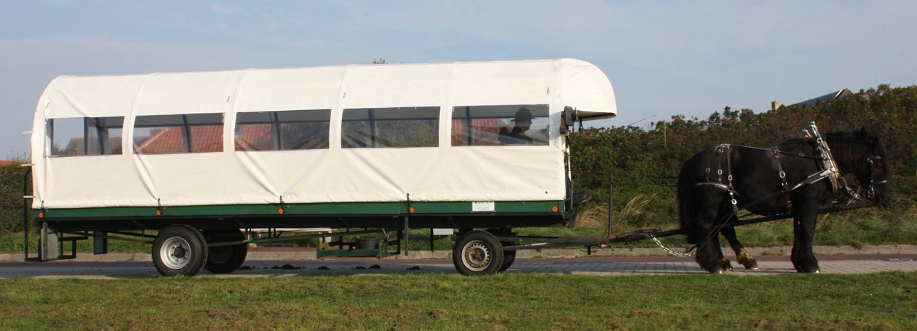 Planwagen1 Planwagen1
