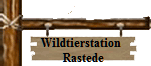 Wildtierstation
      Rastede