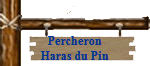 Percheron
Haras du Pin